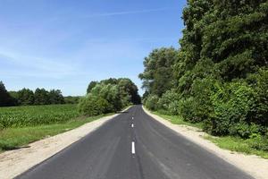 Asphaltstraße, Wald foto