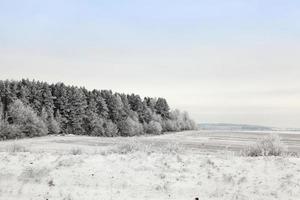 Schneeverwehungen, Feld foto