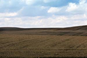 bewölkte Landschaft, Feld foto