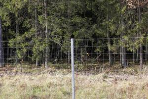 Metallzäune in der Nähe des Waldes, die Tiere vor der Fahrbahn schützen foto