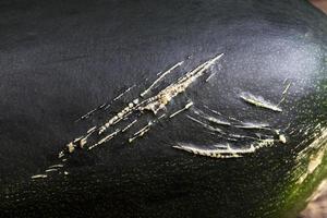 ungewaschenes dreckiges gemüse in der küche foto