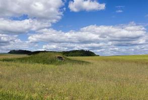 landwirtschaftliche Nutzfläche in Bezug auf foto