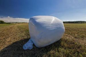 verpackt in Folie Grasstroh für die Viehfütterung foto