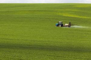 ein landwirtschaftliches Feld foto