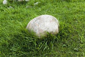 Stein im Gras foto