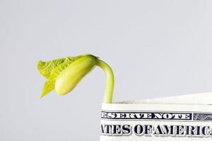 ein us-dollar papiergeld foto