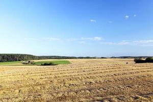 landwirtschaftliches Feld und blauer Himmel foto