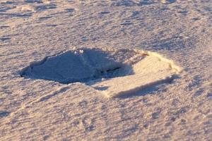 Spuren im Schnee foto