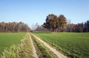 ländliche Schotterstraße. foto