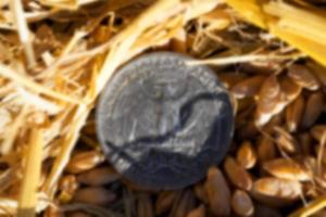 Münze im Stroh foto