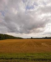 bewölktes Wetter - der Sturmhimmel von dunkler Farbe über einem landwirtschaftlichen Feld foto