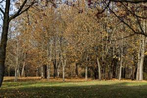 Merkmale des Herbstwetters foto