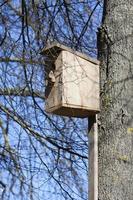 ein gewöhnliches Vogelhaus aus Holz foto