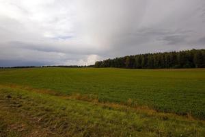 bewölktes Wetter und Feld foto