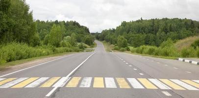 Schnellstraße, Wald foto