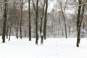 Schneeverwehungen im Winter foto