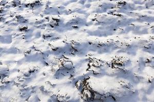 Land mit Schnee bedeckt, Nahaufnahme foto