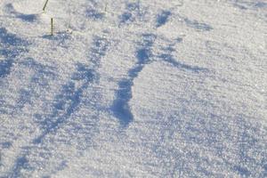 Schneeverwehungen im Winter foto