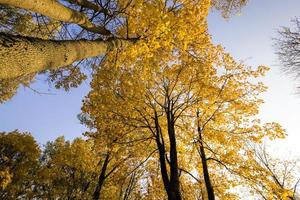 sonniger Tag im Herbst foto