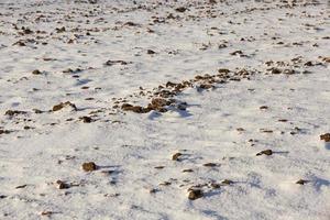 Schnee nach Schneefall foto