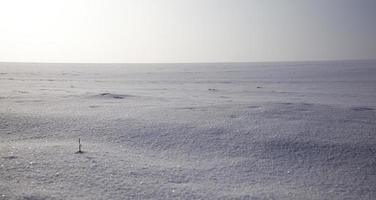 landwirtschaftliches Feld im Winter foto