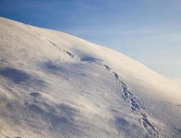 Winterwanderweg foto