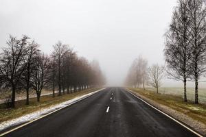 Winterstraße, Bäume foto