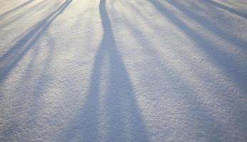 Schatten auf Schnee foto