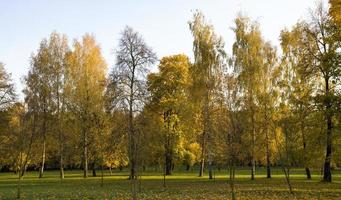 bunte Herbstlandschaft foto