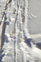 Spur auf einer Winterstraße foto