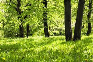 sonniges helles Wetter foto