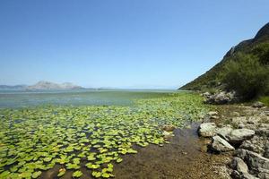 der See . Montenegro foto