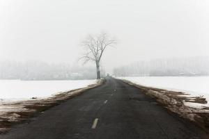 Winterstraße mit Schnee foto