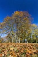 Sonniger oder bewölkter Herbst foto