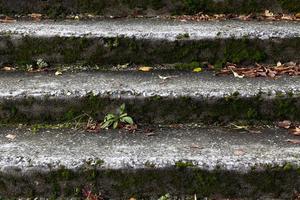 alte Treppe, Nahaufnahme foto