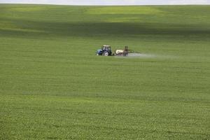 Traktor im Feld foto