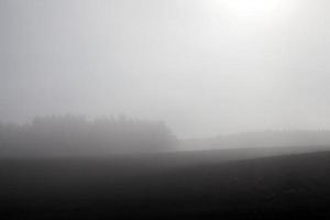 Nebel in der Herbstsaison foto