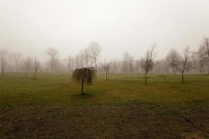 Herbstpark, Morgen foto