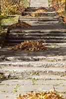 Laubtreppe, Nahaufnahme foto