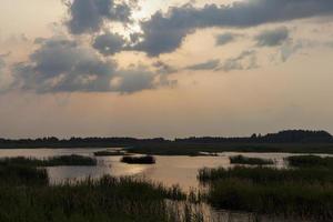 See mit Pflanzen bei Sonnenuntergang, Spiegelung im See foto