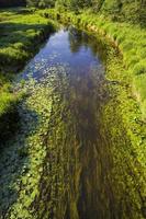 schmutziges Wasser in einem See oder Fluss foto