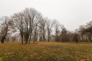 Herbstpark, bewölkt foto