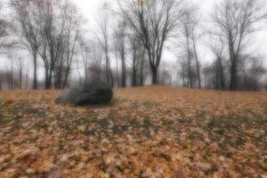 Herbstpark, bewölkt foto