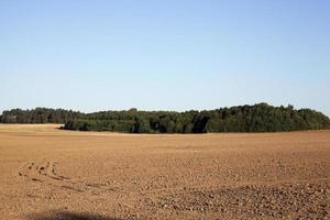 gepflügtes landwirtschaftliches Feld foto