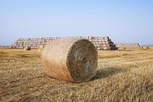 Stapel Stroh auf dem Feld foto