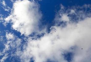 Vögel fliegen in den Himmel foto