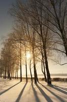 Sonnenuntergang mit orangefarbenen Farbtönen in der Wintersaison foto