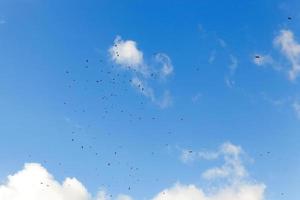 Vögel fliegen in den Himmel foto