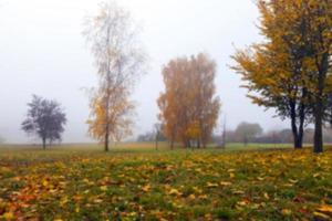 Herbstpark, bewölkt foto