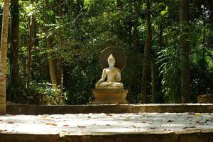 weiße Buddha-Statuen. meditiere und entspanne dich. foto